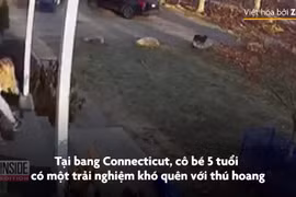 Bé gái 5 tuổi bị gấu mèo tấn công ở Mỹ