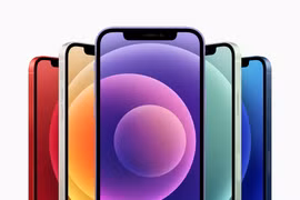 Apple ra mắt iPhone 12 màu tím, giá không đổi