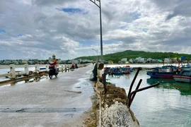 Cầu rệu rã sắp sập, người dân vẫn buộc phải... đi qua! 