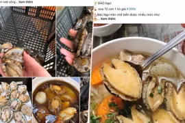 Bào ngư, vi cá mập giá rẻ giật mình, bán tràn "chợ mạng"