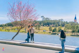 Xếp hàng 15 phút để check-in mai anh đào Đà Lạt