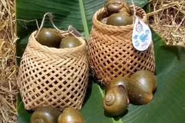 Kỳ lạ con vật ưa ngửi khói, uống sữa