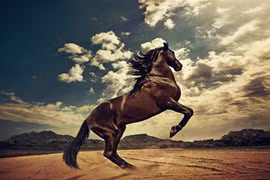 Nửa cuối tháng 11 "Mẫu độ Cô thương", 4 tuổi hồng phúc đầy trời