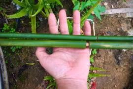 Cận cảnh các món đồ chơi tự chế của trẻ em Việt xưa