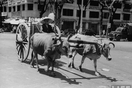 Cảnh mưu sinh trên đường phố Sài Gòn năm 1950