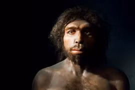 Những điểm đặc biệt của 12 loài người cổ xưa đã tuyệt chủng