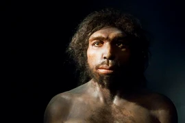 Những điểm đặc biệt của 12 loài người cổ xưa đã tuyệt chủng