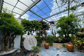 Hệ sinh thái vườn chim hơn 1 tỷ đồng trên sân thượng của đại gia Đà Nẵng