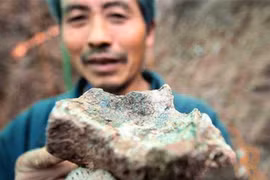 Đào ao thả cá, lão nông đụng trúng ‘báu vật’ 150 triệu năm