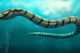 Sự thật về tổ tiên của các loài rắn ít ai biết