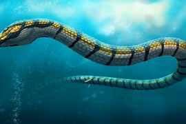 Sự thật về tổ tiên của các loài rắn ít ai biết