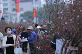 Kế hoạch cho giây phút vẹn toàn ngày giáp Tết