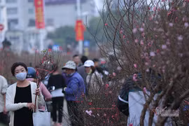 Kế hoạch cho giây phút vẹn toàn ngày giáp Tết