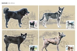 Tò mò “tứ đại quốc khuyển” được in hình trên tem bưu chính VN