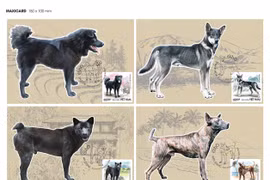 Tò mò “tứ đại quốc khuyển” được in hình trên tem bưu chính VN