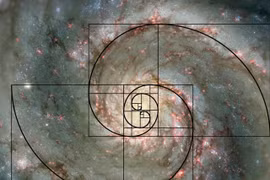 Dãy số Fibonacci: Bí ẩn của vũ trụ hay chỉ là sự trùng hợp?