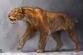 Khám phá sự thật đáng sợ về loài mèo từng tồn tại thời tiền sử