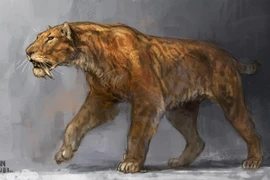 Khám phá sự thật đáng sợ về loài mèo từng tồn tại thời tiền sử