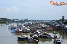 Khám phá dòng sông Hậu ở miền Tây 