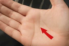 2 đường tài lộc trên bàn tay, ai có không lo thiếu tiền 