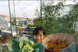 Nhóm bạn rủ nhau làm vườn sân thượng “chẳng thiếu gì” ở Quảng Nam