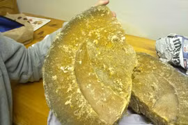 Tại sao long diên hương được gọi là vàng của đại dương?