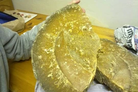 Tại sao long diên hương được gọi là vàng của đại dương?