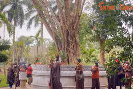 Nguồn gốc đặc biệt của cây bồ đề ở chùa Một Cột