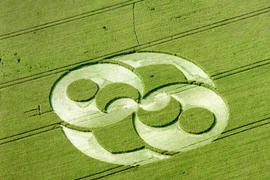 Bí ẩn 'vòng tròn trên cánh đồng' xuất hiện nhiều nơi trên thế giới?