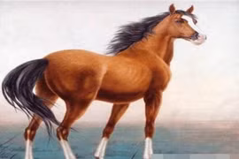 Hợp vía Thần Tài, 3 con giáp giàu không phanh 10 ngày tới