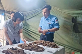 Phát hiện 32 hài cốt liệt sĩ tại mộ tập thể ở Gia Lai