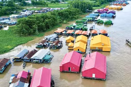 Điểm check-in rực rỡ sắc màu ở làng bè Châu Đốc