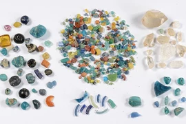 Những khảo cổ được phát hiện nổi bật Việt Nam năm 2022