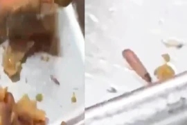 Phát hiện ấu trùng trong suất ăn trưa, Trường Wellspring Saigon nói gì?