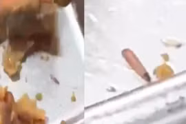 Phát hiện ấu trùng trong suất ăn trưa, Trường Wellspring Saigon nói gì?