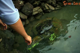 Sửng sốt đại dương trong lòng hồ trên hòn đảo nhỏ gần Nha Trang