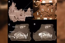 Phát hiện mộ cổ 200.000 năm không phải loài chúng ta tạo ra