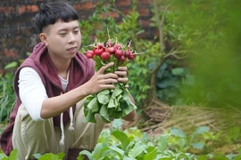 Nghỉ việc rời thành phố, người trẻ có bao nhiêu tiền tiết kiệm cầm theo? 