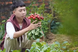 Nghỉ việc rời thành phố, người trẻ có bao nhiêu tiền tiết kiệm cầm theo? 