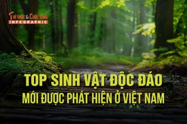 Top 7 sinh vật độc đáo mới phát hiện ở Việt Nam