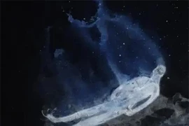 Thực hư việc cứ sau 150 năm, người chết có thể tái sinh? 