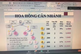 Biến tướng đa cấp mới: Chữa được COVID-19 qua ứng dụng điện tử
