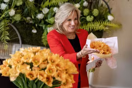 Hà Lan lấy tên Đệ nhất phu nhân Mỹ Jill Biden đặt cho hoa tulip 