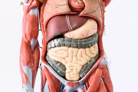 Giải độc nội tạng bằng 5 thức uống buổi sáng này