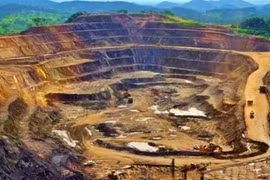 Phát hiện kho báu nằm sâu dưới 1.000m trong rừng gỗ quý