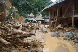 Xúc động cảnh giáo viên, học sinh lội bùn dọn trường lớp sau lũ