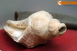 Kỷ vật của cuộc khởi nghĩa đầu tiên dưới sự lãnh đạo của Đảng