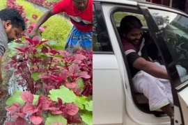 MXH phát sốt với chàng trai lái Audi ra chợ bán rau