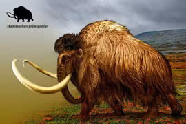 8 tiết lộ cực choáng về loài vật nổi tiếng nhất Kỷ Băng hà