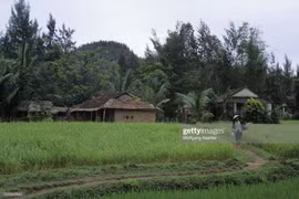 Hình ảnh mộc mạc ở chứng tích Sơn Mỹ năm 1992 qua ống kính khách ngoại